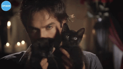Man Holding Black Cat And Maze Logo GIF