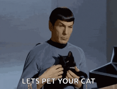 Man Holding Black Cat Lets Pet Your Cat GIF