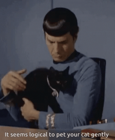 Man Holding Black Cat Saying It Seems Logical To Pet Your Cat Gently GIF