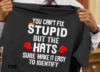 Man Holding Black Shirt Saying You Can't Fix Stupid But The Hats Sure Make It Easy To Identify GIF