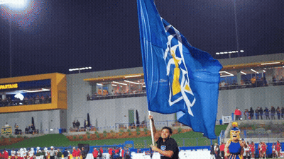 Man Holding Blue Flag With Yellow Triangle GIF