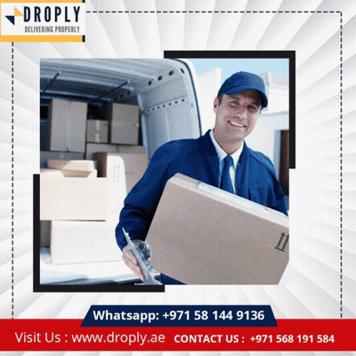 Man Holding Box Near Van Saying Droply Delivering Properly GIF
