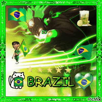 Man Holding Brazil Flag GIF