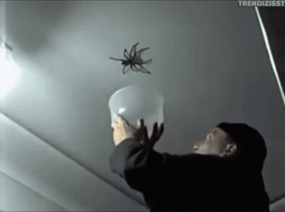 Man Holding Bucket And Spider Flying GIF