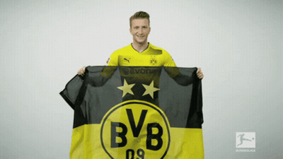 Man Holding BVB Flag In Front Of Bundesliga Logo GIF