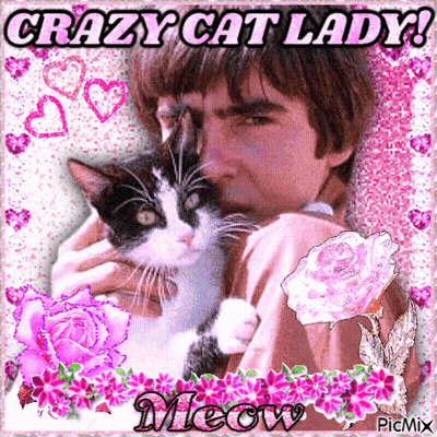 Man Holding Cat Crazy Cat Lady GIF