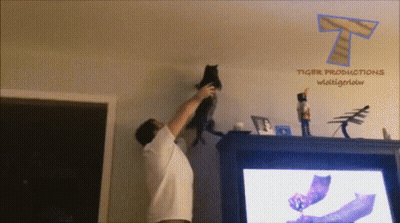Man Holding Cat In Front Of Tiger Productions Logo GIF