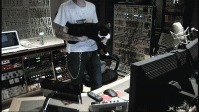 Man Holding Cat In Recording Studio With X GIF