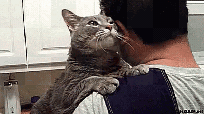 Man Holding Cat Sniffing His Ear GIF