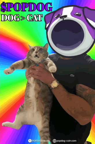 Man Holding Cat With Dog Head GIF