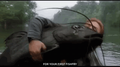 Man Holding Catfish In Water GIF