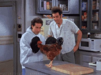 Man Holding Chicken Fidel Cashflow GIF