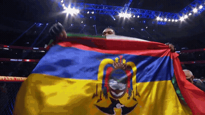 Man Holding Colorful Flag With Shield In Stadium GIF