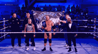 Man Holding Diamond Flag In Wrestling Ring GIF