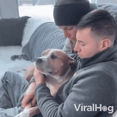 Man Holding Dog And Another Man Viralhog GIF