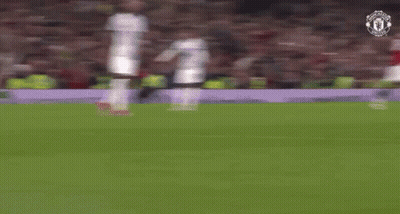 Man Holding Dog In Front Of Train GIF