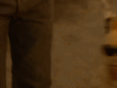 Man Holding Dog In Sunglasses GIF