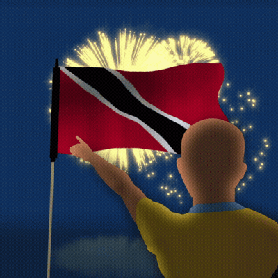 Man Holding Flag Saying Happy Independence Day T & T GIF