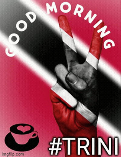 Man Holding Flag Saying Happy Independence Day T & T GIF