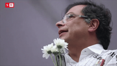 Man Holding Flowers At STV Microphone GIF
