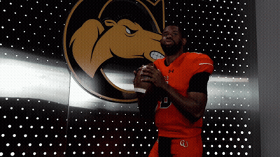 Man Holding Football Before Wall With Camel GIF