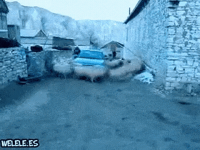 Man Holding Glass With Arms Outstretched GIF