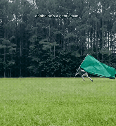 Man Holding Green Flag Oh He's A Gentleman GIF