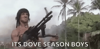 Man Holding Gun In Jungle With Palm Trees GIF