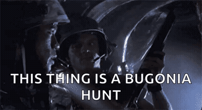 Man Holding Gun This Thing Is A Bugonia Hunt GIF