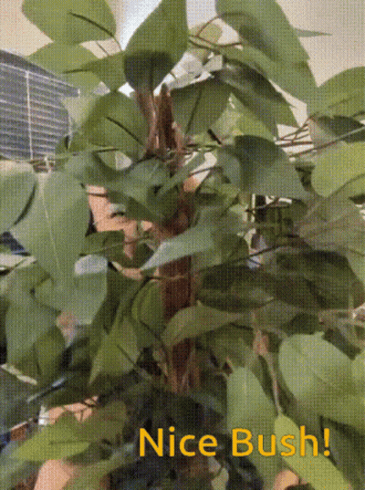 Man Holding Head Making Funny Face GIF