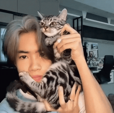 Man Holding Kitten On Shoulders GIF