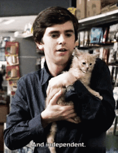 Man Holding Kitten Saying And Independent GIF