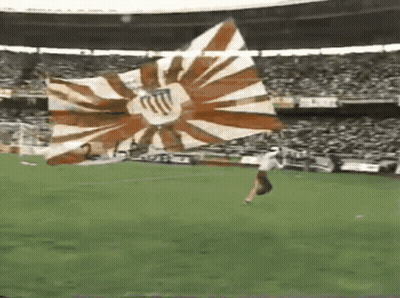 Man Holding Large Flag On Stadium Field GIF