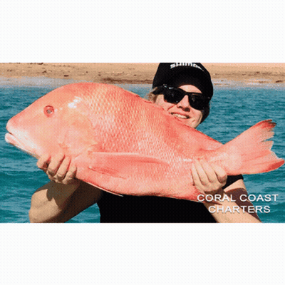 Man Holding Large Red Fish With Coral Coast Charters GIF