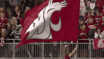 Man Holding Large Red Flag With Wolf GIF