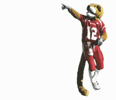 Man Holding Large Red Flag With Wolf GIF