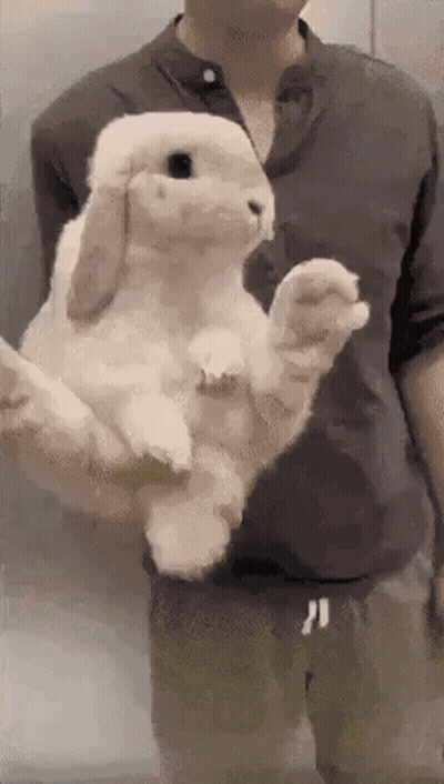 Man Holding Large White Rabbit GIF