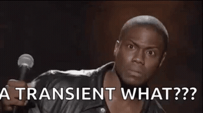 Man Holding Microphone Saying A Transient What? GIF