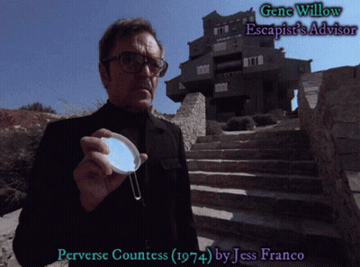 Man Holding Mirror At Building With Gene Willow Escapist's Advisor GIF