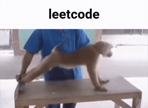 Man Holding Monkey On Table Leetcode GIF