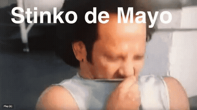 Man Holding Nose Stinko De Mayo GIF
