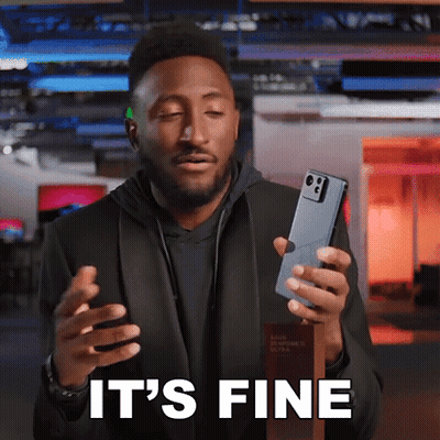 Man Holding Phone Saying It's Fine GIF