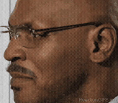 Man Holding Pigeon GIF