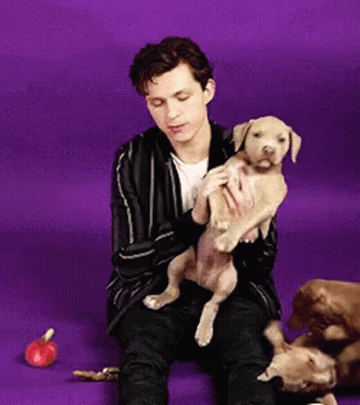 Man Holding Puppy While Sitting On Floor GIF