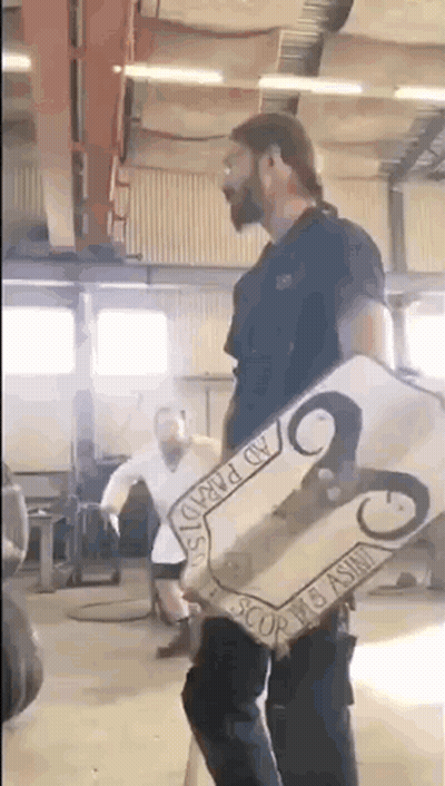 Man Holding Ram Shield GIF