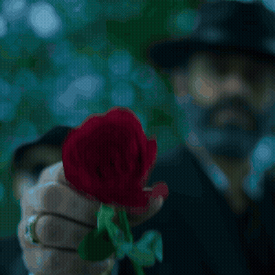 Man Holding Red Rose For The Haters GIF