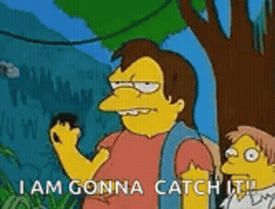 Man Holding Rock Saying I Am Gonna Catch It GIF