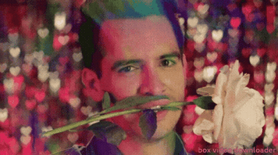 Man Holding Rose in Mouth Box Video Downloader