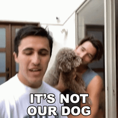 Man Holding Small Dog Saying It's Not Our Dog GIF