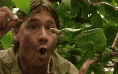 Man Holding Spoon In Mouth In Woods GIF